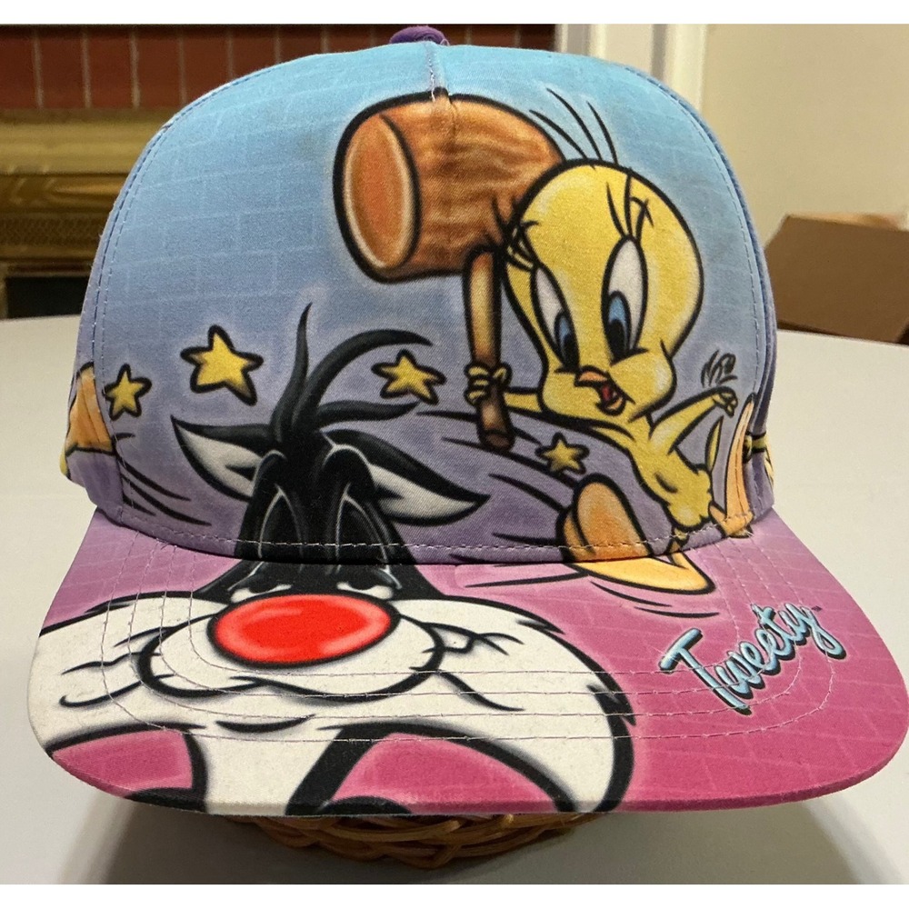 VTG Six Flags Looney Tunes Tweety Sylvester Airbrush Snapback Hat Blue Purple